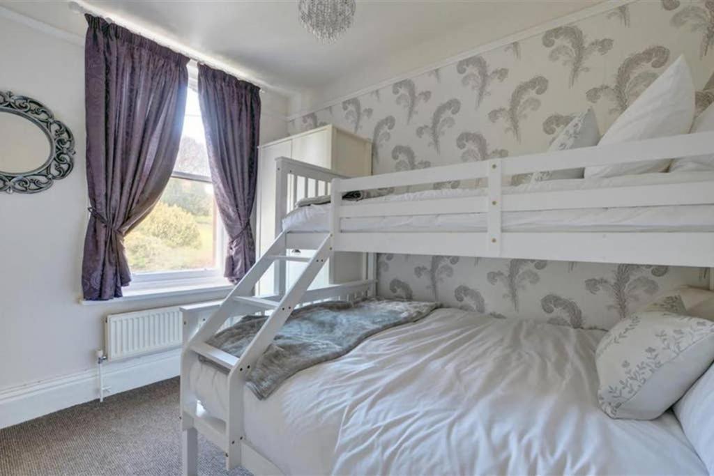 Pannett View - In The Heart Of Apartment